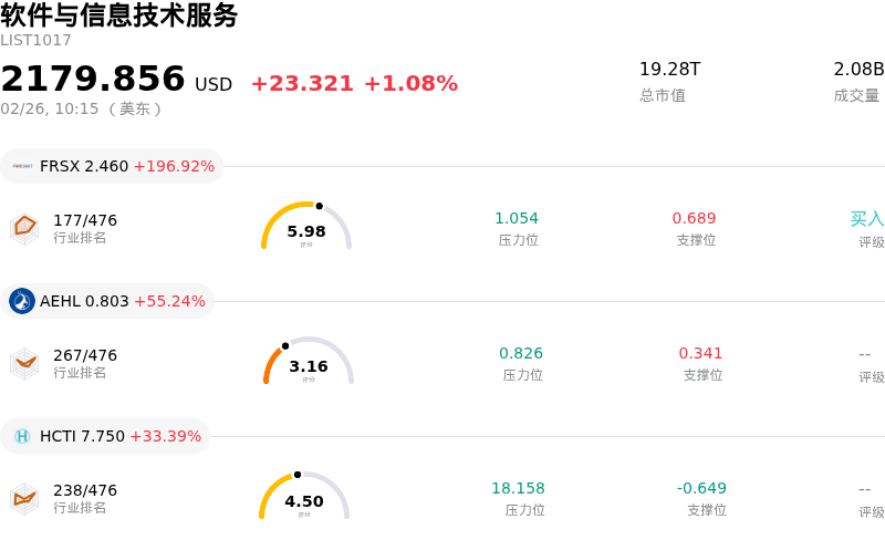 软件与信息技术服务