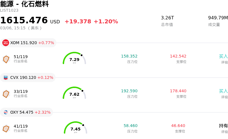 能源 - 化石燃料