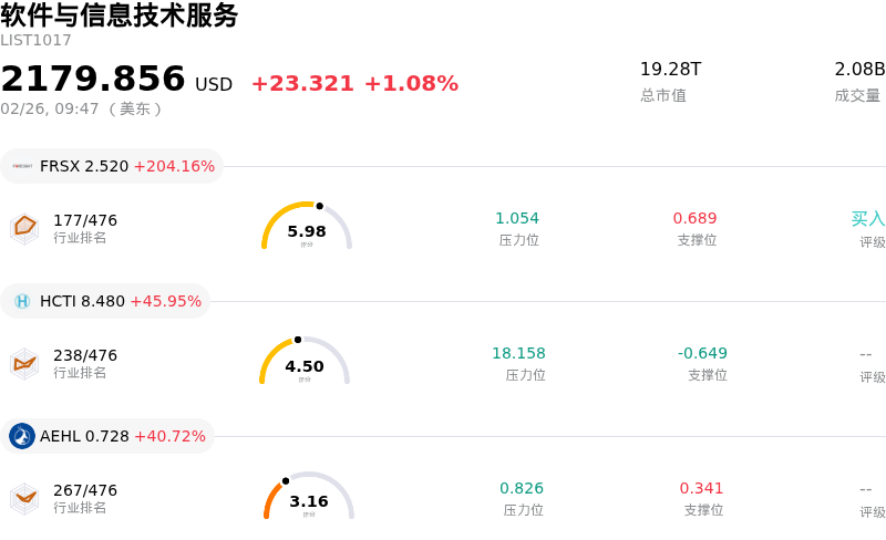 软件与信息技术服务