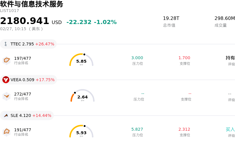 软件与信息技术服务