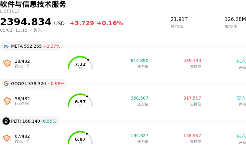 软件与信息技术服务