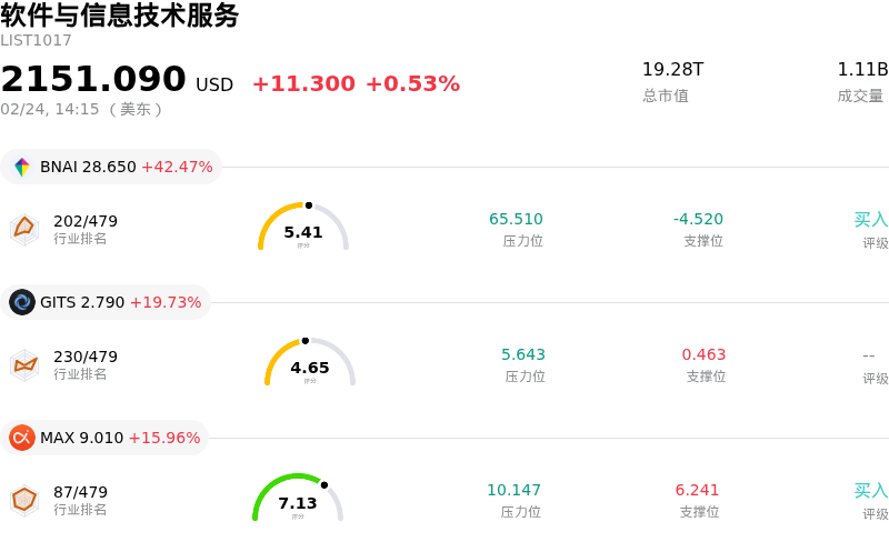 软件与信息技术服务