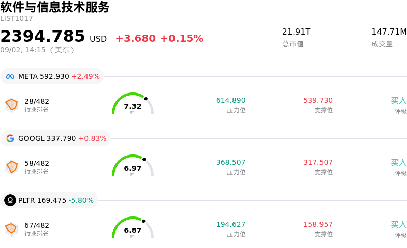 软件与信息技术服务