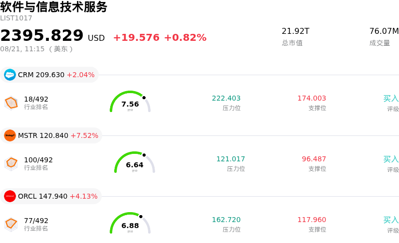 软件与信息技术服务