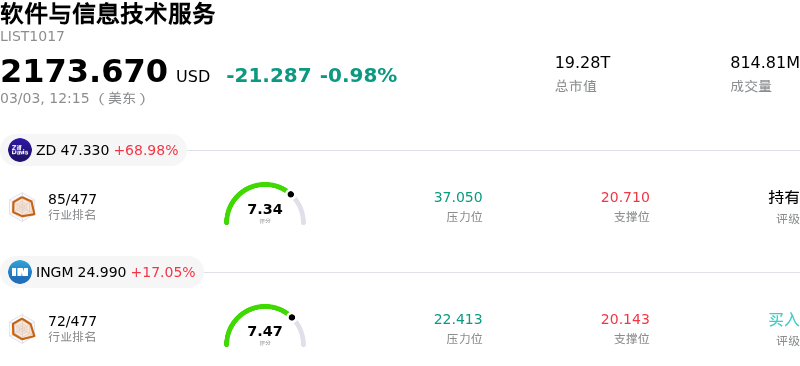 软件与信息技术服务