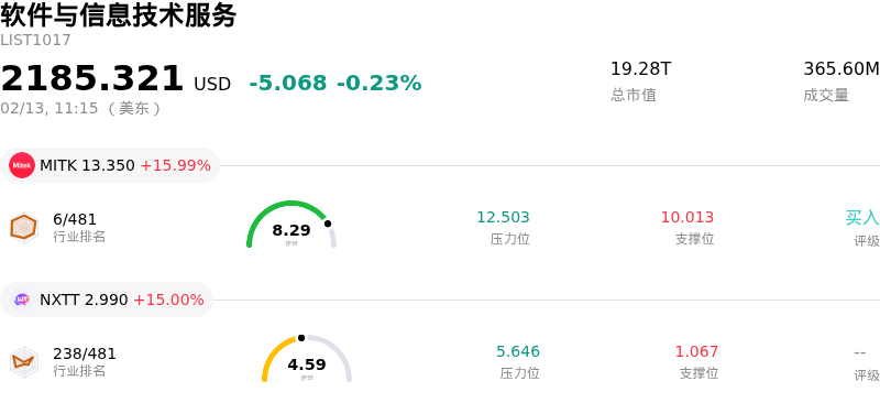 软件与信息技术服务