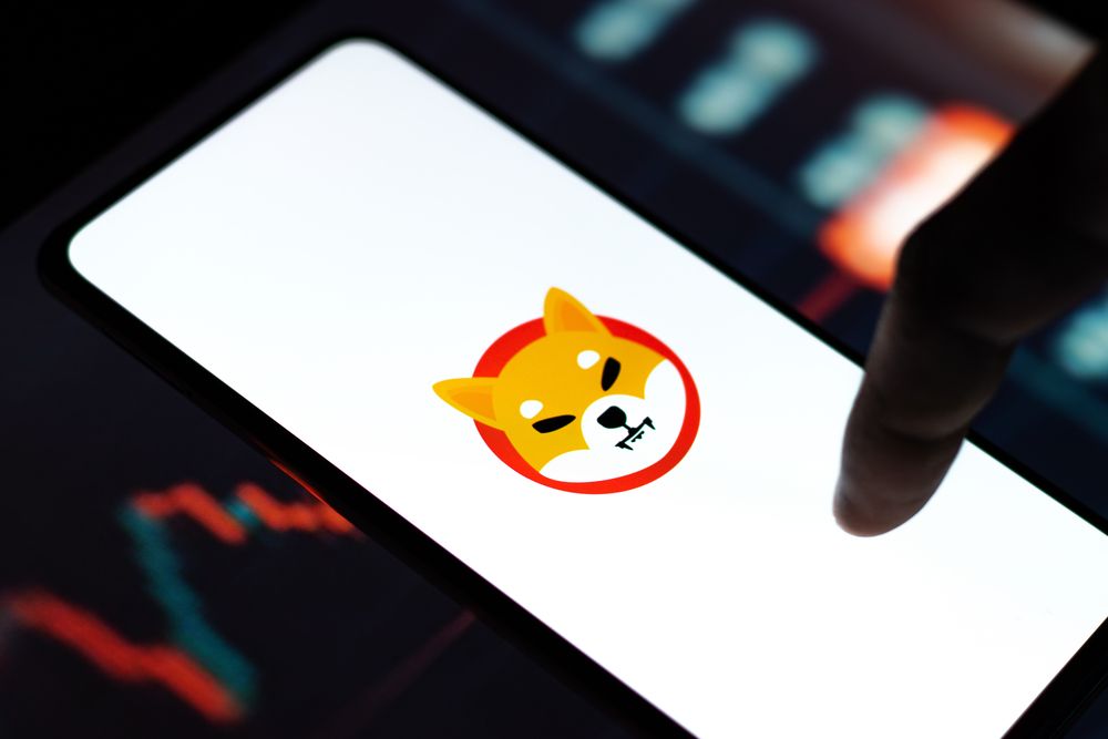 As the Shiba Inu ecosystem is preparing to enter a new era, the project’s core member and head of marketing Lucie has offered insights into SHIB’s mysterious evolution, emphasizing the crucial factor that will majorly drive the growth. 