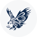Bold Eagle Acquisition Corp