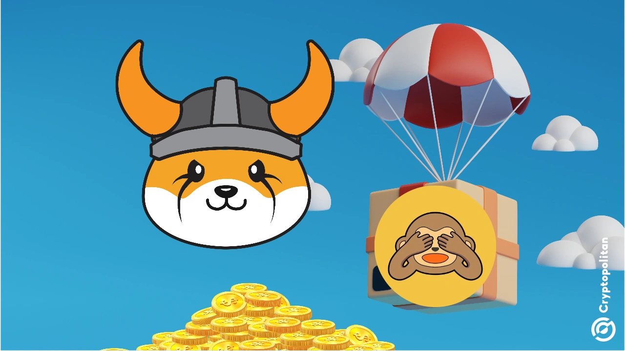 Wise Monkey (MONKY) es un nuevo token meme con un lanzamiento de alto perfil, respaldado por Ape Accelerator y Forj, una subsidiaria de Animoca Brands. MONKY tuvo una amplia distribución entre las billeteras de los usuarios y ya comenzó a cotizar en mercados centralizados.