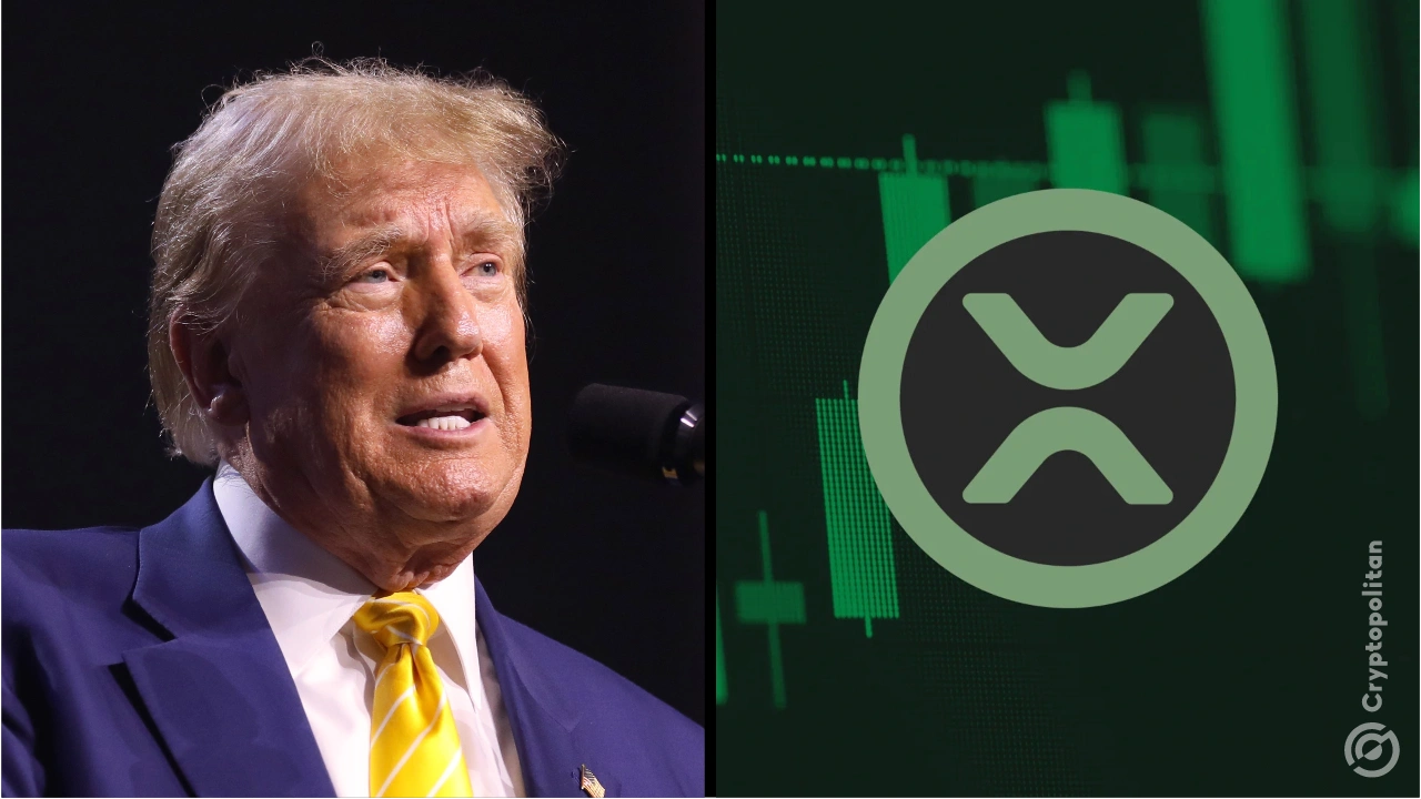 XRP se ha disparado un 370% desde la victoria electoral de Donald Trump, tomando la delantera en lo que ahora se denomina la "corrida alcista comercial de Trump". Bitcoin , a pesar de toda su influencia, sólo ha subido un 46%, y el mercado criptográfico más amplio, medido por el índice CoinDesk 20, ha subido un 93%. XRP superó Solana y ocupó el tercer lugar en el mercado […]