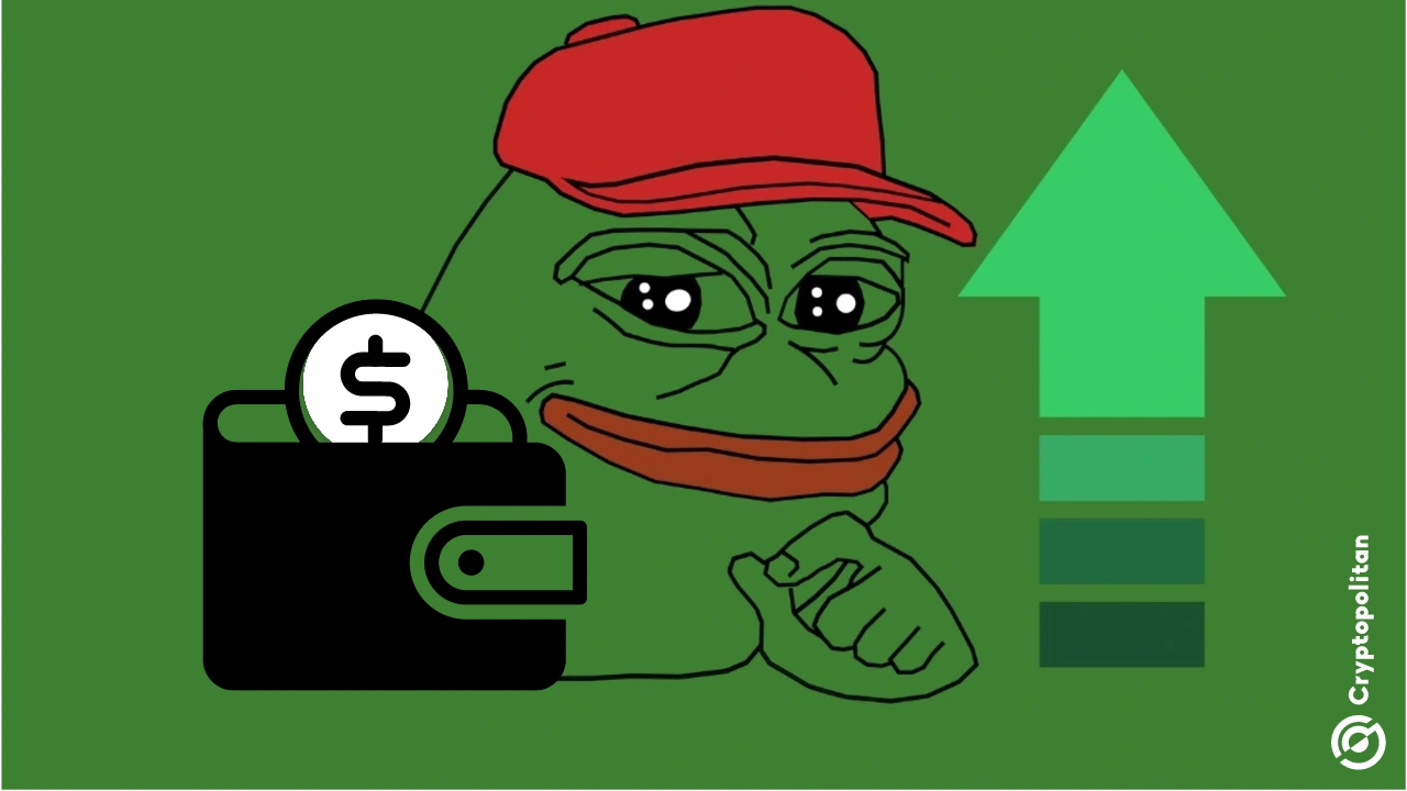 Pepe (PEPE) possui o maior número de carteiras com acervos acima de US$ 1.000, superando outras comunidades de memes com foco em titulares.
