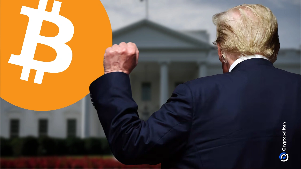 As empresas de criptomoeda estão fazendo contribuições financeiras significativas para a posse de Trump, com figuras importantes como Ripple , Kraken e Coinbase liderando o caminho. No entanto, há questões sobre a natureza destas doações multimilionárias, sejam elas movimentos estratégicos ou suborno limítrofe. As empresas de criptomoeda estão doando muito dinheiro para a próxima posse do presidente dent Donald Trump, com [...]