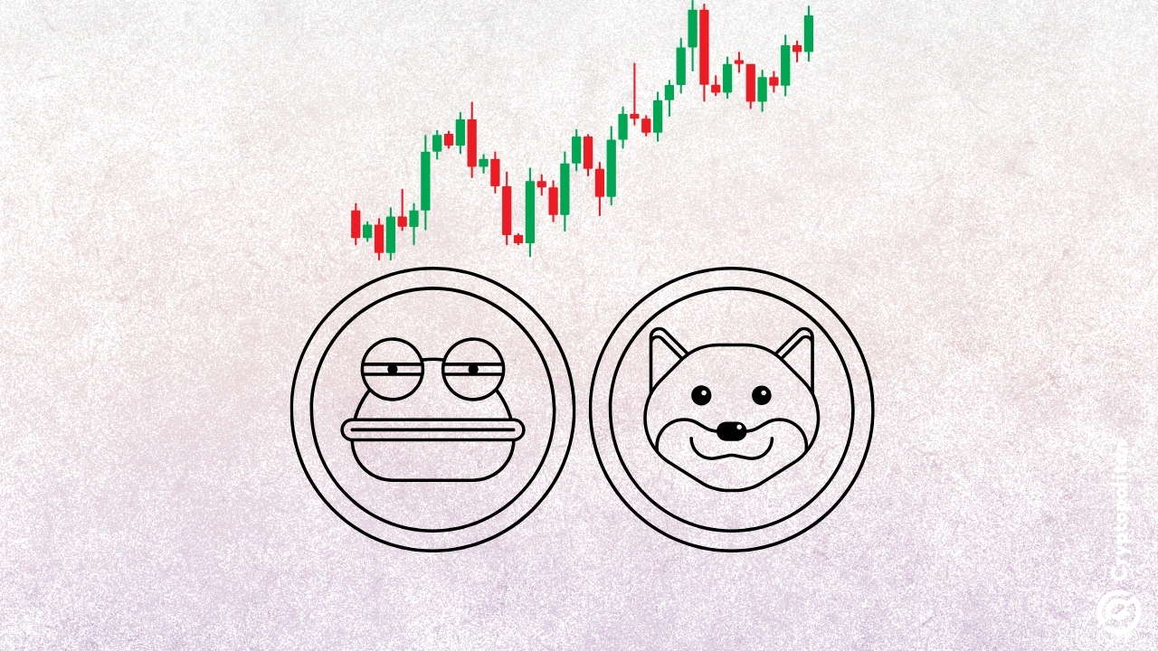 En 2024, el espacio criptográfico se vio inundado de conversaciones sobre monedas meme, lo que las convirtió en la narrativa criptográfica más popular.