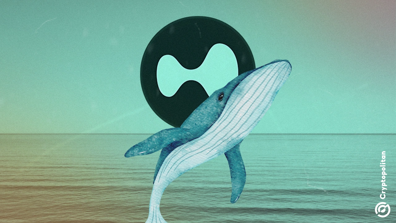 En las últimas 24 horas, una ballena criptográfica depositó 18,3 millones de USDC en Hyperliquid, supuestamente con la intención de comprar HYPE, el token nativo del intercambio. La noticia llega después de que Hyperliquid experimentara salidas sustanciales de la moneda estable USDC, con más de 100 millones de dólares saliendo de la plataforma el lunes, según datos compilados por Hashed en Dune Analytics. Según datos […]
