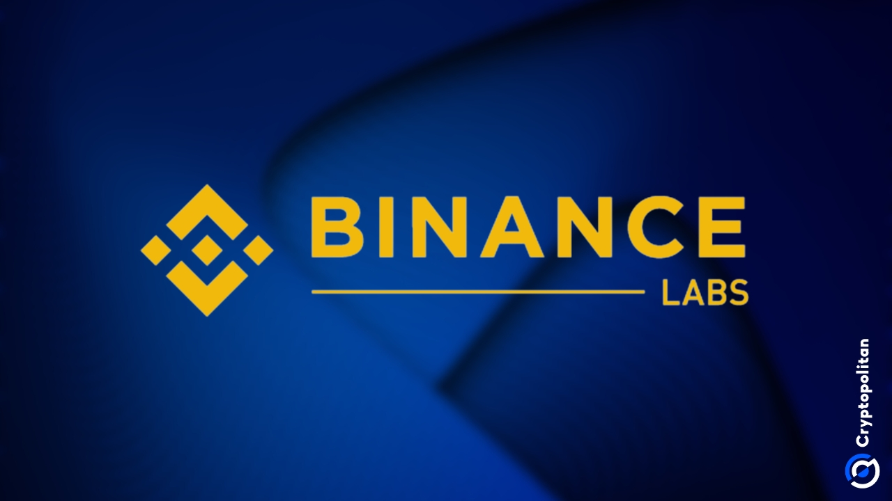 Binance Labs se está preparando para un cambio de marca en 2025, luego de su separación del intercambio principal