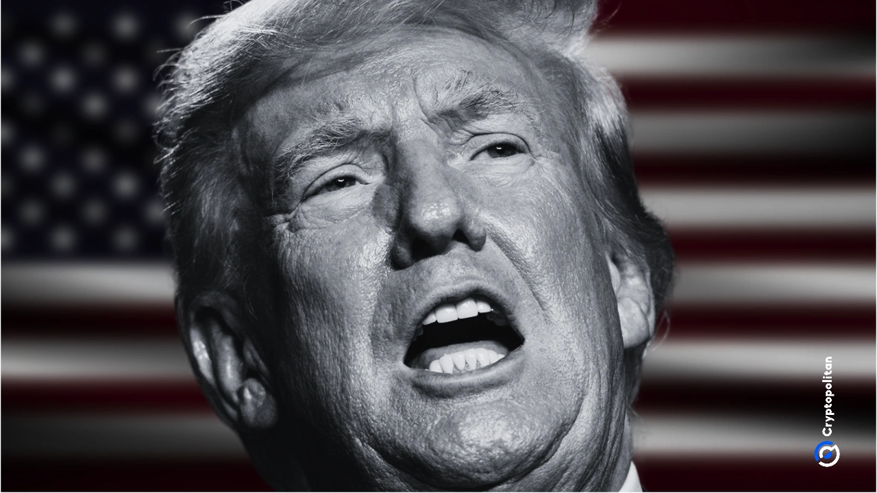 Os CEOs da Crypto prometeram doações, fizeram contribuições ou realizaram reuniões com Trump na esperança de garantir posições no próximo conselho consultivo de criptografia.