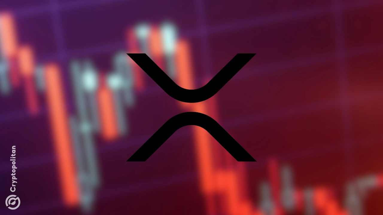 El precio XRP cae por debajo de $ 2,3 en medio de una caída más amplia del mercado, con tasas de financiación volviéndose negativas y un interés abierto elevado que indica una presión bajista continua.
