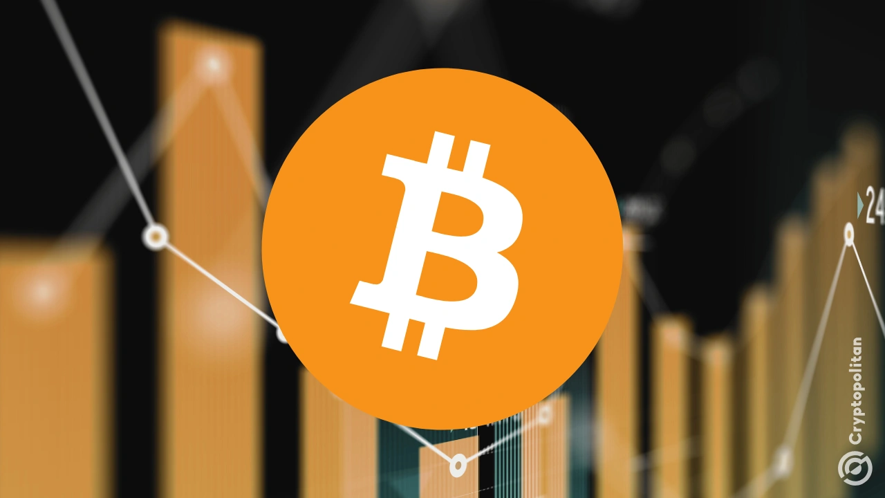 El analista Bitcoin Willy Woo ha advertido a los operadores Bitcoin que, a pesar de los sentimientos alcistas del mercado, deberían operar con cautela en los próximos meses debido a la alta posibilidad de reversión en el corto plazo.
