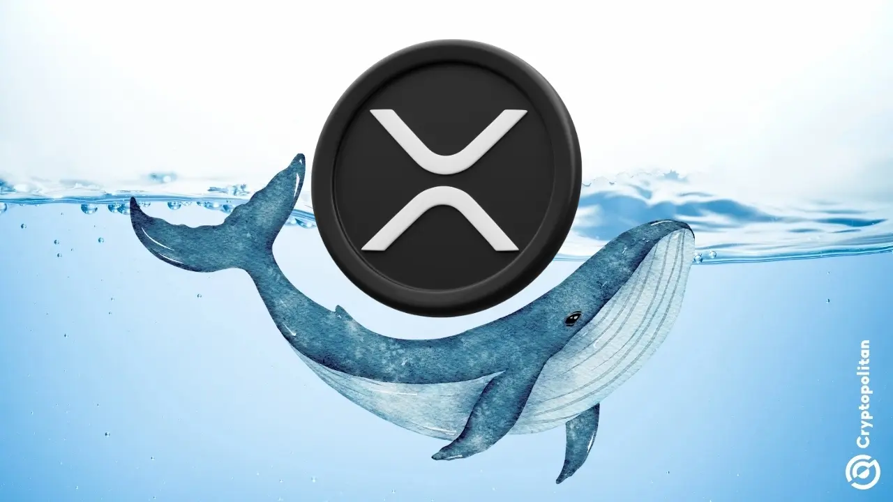 La red de XRP ha atraído recientemente mucha atención entre la comunidad y las métricas en cadena muestran que las transacciones de gran valor están aumentando. Según lo informado por Ali Martinez, un analista en cadena, la cantidad de transacciones en la red ha aumentado a más de $ 1 millón en los últimos días. Según Martínez, en un día Santiment registró […]