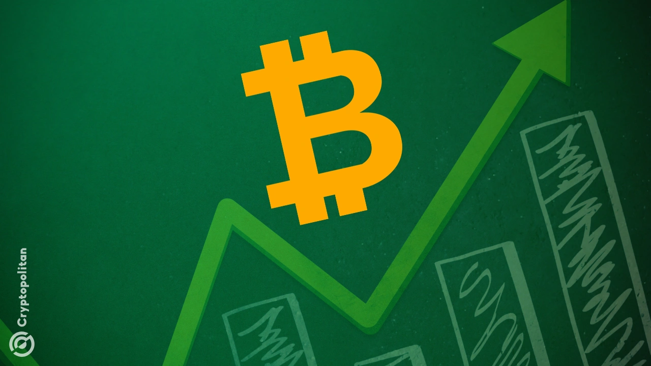 Los datos de GlassNode indicaron que el dominio de Bitcoinaumentó después del colapso FTX en 2022. La firma de análisis destacó que más inversores eligieron Bitcoin como una herramienta de inversión sobre otros activos digitales.