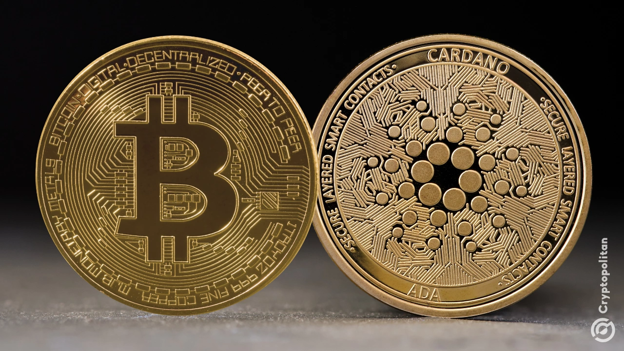 O co-fundador da plataforma de mídia social descentralizado Dan Romero não vê o governo dos EUA comprando mais tokens de criptografia para adicionar à sua próxima reserva de criptografia. Romero prevê que as participações federais estratégicas de criptografia conterão apenas ativos que foram apreendidos pelas autoridades financeiras dos EUA de multas e atividades ilícitas. Em um post de terça -feira x […]