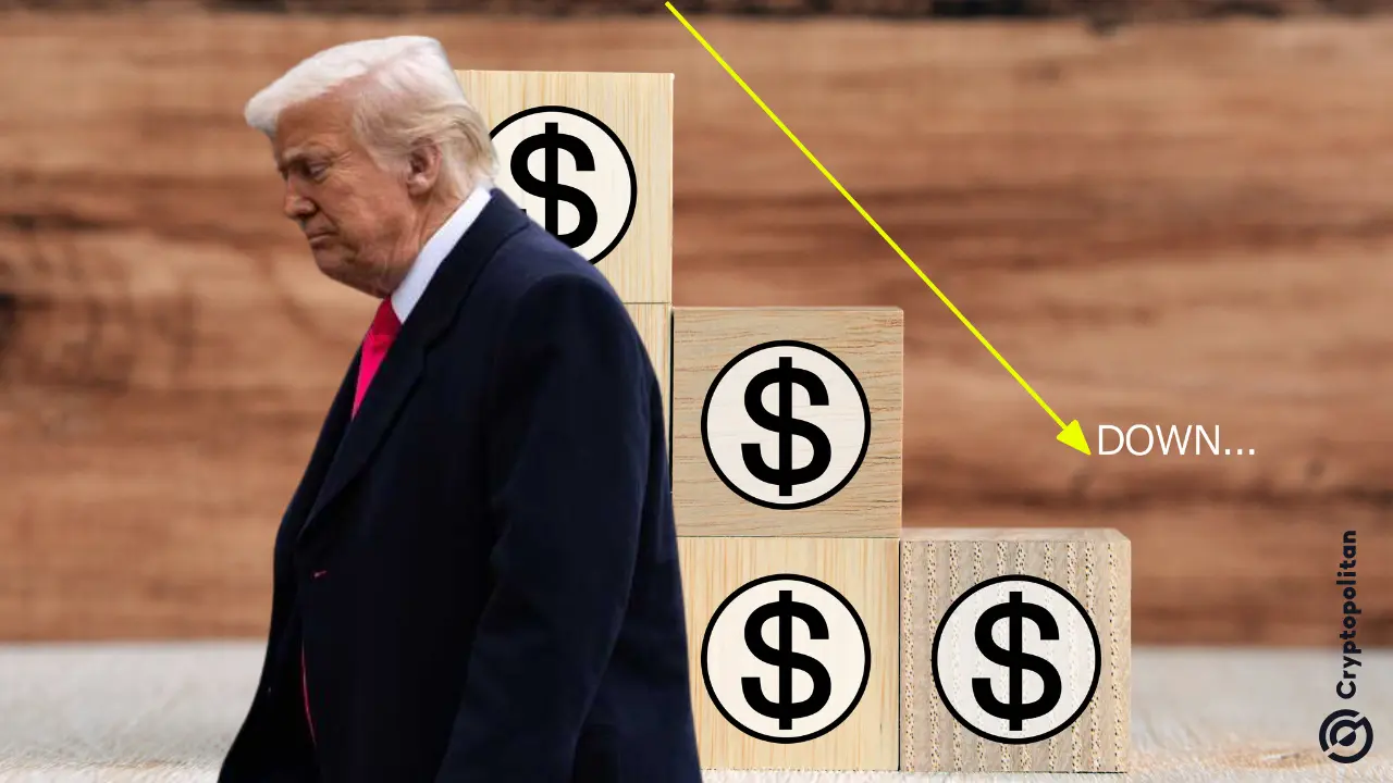 Donald Trump prestou juramento de cargo pelo segundo mandato em 20 de janeiro, cercado por cinco dos indivíduos mais ricos do mundo; Elon Musk, Jeff Bezos, Mark Zuckerberg, Sergey Brin e Bernard Arnault. Naquele mês, os três da frente atingiram o máximo em seu patrimônio líquido. Mas os meses dos verdes agora se voltaram para semanas […]