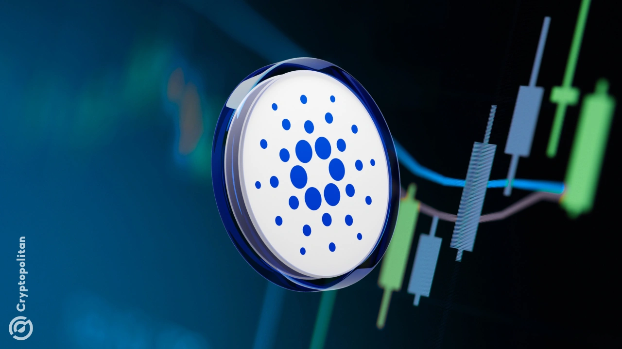 Cardano recebe suporte da ADA, enquanto compradores estendem uma sequência de acumulação de quatro anos com realização de lucro mínima.