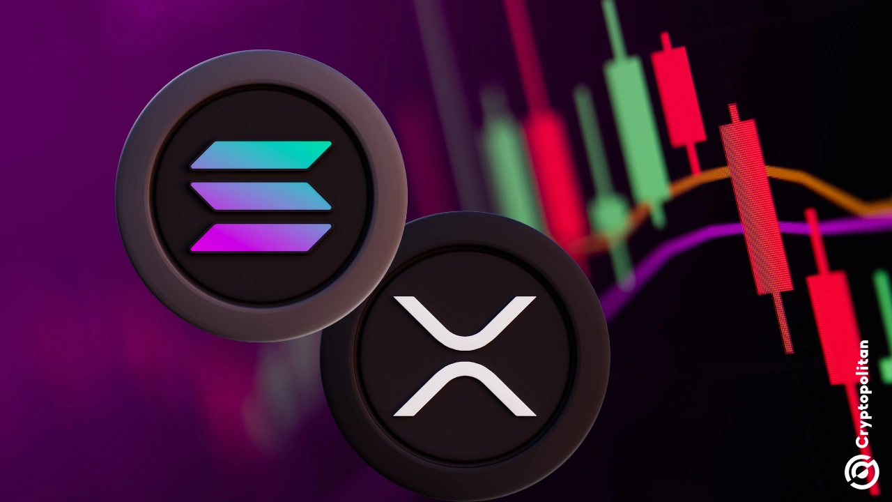 Solana (SOL) and XRP slipped roughly 5% over the past 24 hours as traders locked in gains after recent rallies. At press time, SOL hovered near ~$181 (≈-6% 24h) while XRP traded around ~$2.97 (≈-5% 24h). Bitcoin, by comparison, was relatively steadier, holding near ~$115K. The question now: is this a healthy breather, or the […]
