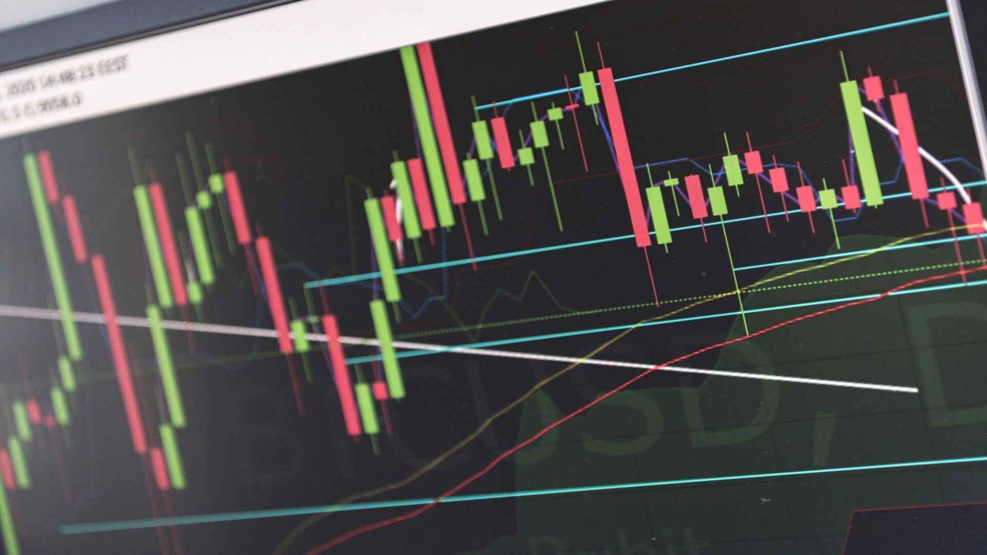 金吾财讯 | 海底捞(06862)绩后股价走低，截止发稿，跌5.24%，报14.1港元，成交额2.99亿港元。公司昨日公布截至2025年6月30日止六个月的中期业绩。期内，公司拥有人应占溢利17.59亿元(人民币，下同)，同比减少13.72%；每股基本盈利0.32元，去年同期为0.38元。拟派中期股息每股0.338港元。期内，集团收入207.03亿元，同比下滑3.66%；餐厅经营收入191.77亿元，同比减少6.89%。截至6月30日，海底捞品牌共经营1363家餐厅，其中加盟餐厅41家。此外，海底捞还运营“焰请烤肉铺子”“从前印巷”等14个餐饮品牌共计126家餐厅。其他餐厅收入达5.97亿元，同比增长227%。