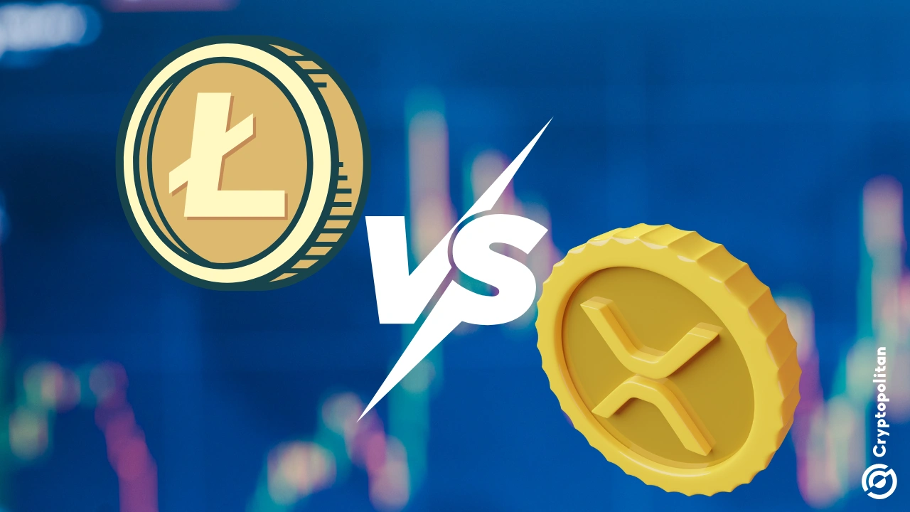 Litecoin 在 XRP 官方账号上发布了一条推文，嘲讽 Ripple XRP 及其首席执行官布拉德·加林豪斯（Brad Garlinghouse），此举激怒了XRP持有者。这条推文最初只是一条关于彗星的趣闻，但由于与 XRP进行了比较，争议迅速升级。据该帖子称， XRP 在未来[…]年将大幅增长的想法引发了争议。