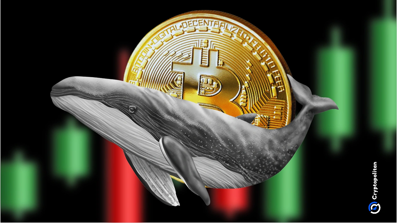 Cryptoquant revealed that Bitcoin whale selling pressure has shifted at the start of October.