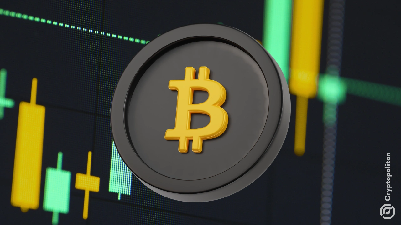 Altcoin market has lost $800 billion as traders move to Bitcoin and crypto stocks.