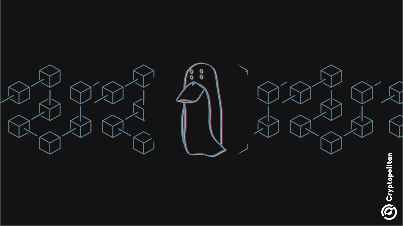 Blockchain investigator ZachXBT has named the five countries where he struggles most to assist victims, listing counties like Canada, the UK, and Russia as part of the “bottom five” jurisdictions for crypto-related cases. In a Tuesday post on his Telegram investigations channel, ZachXBT wrote the counties in order of where he faced the most problems, […]