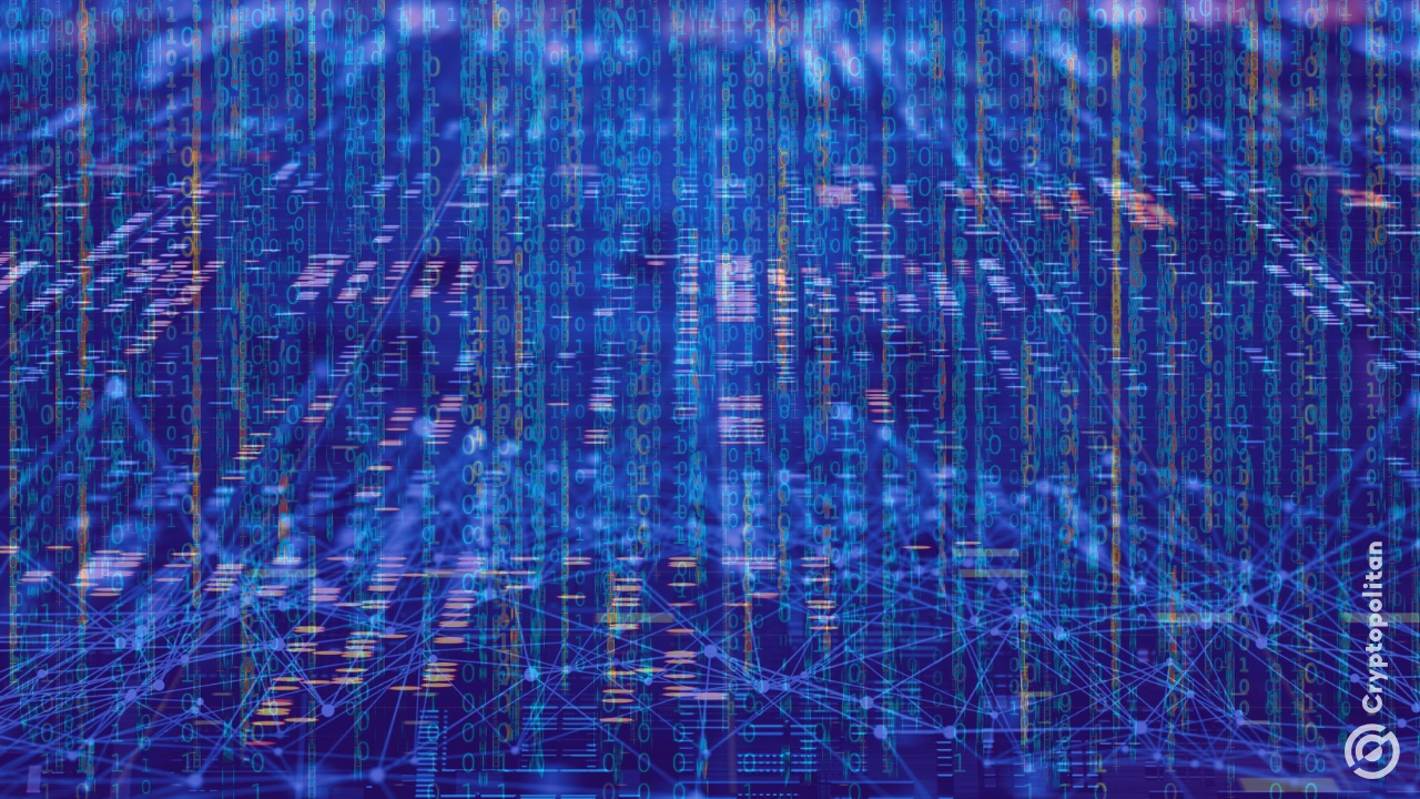 Berachain halted its network and initiated an emergency hard fork after suffering a major exploit linked to Balancer V2.