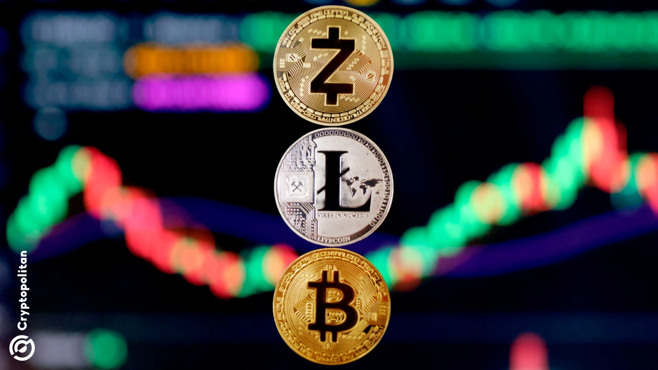 Centralized exchanges expanded their spot volumes by 36% in October, while derivative markets grew more slowly.