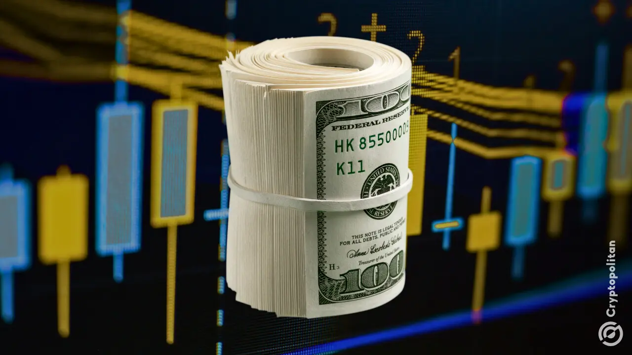 A Hyperliquid whale, undeterred by the BTC downturn, made a bet on a wide selection of altcoins, including older assets and memes.