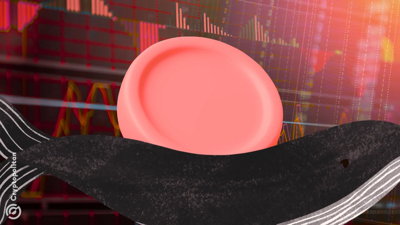 A baleia associada à segunda maior posição perdedora na Hyperliquid encerrou suas posições compradas em BTC e ETH, realizando uma perda de mais de US$ 10 milhões.