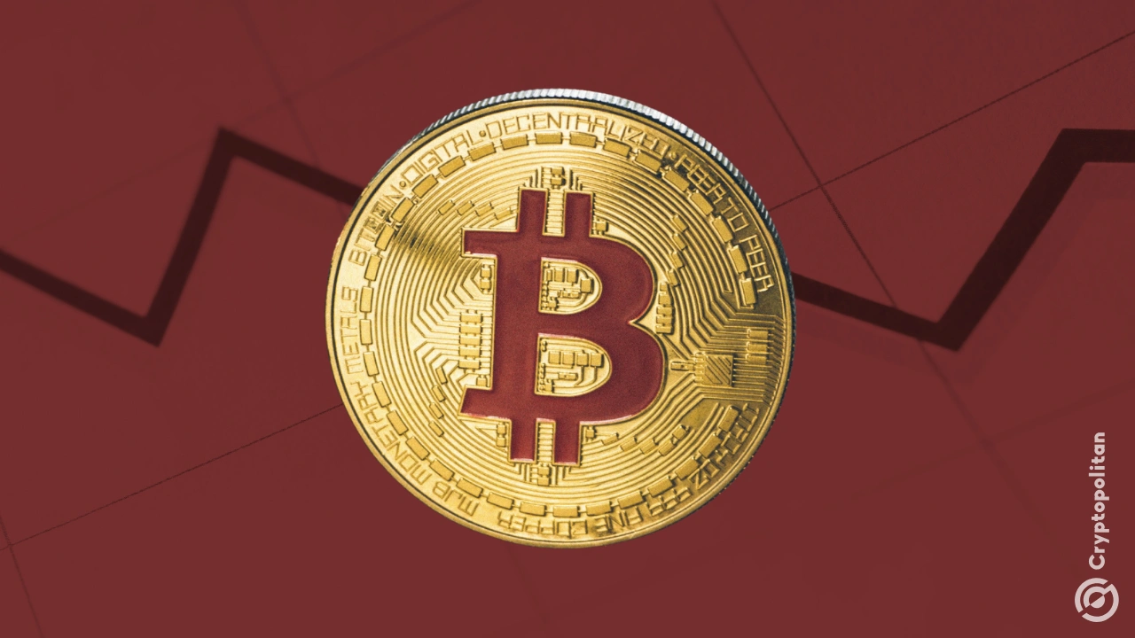 A persistent BTC short seller has posted $24 million in unrealized profits on the Hyperliquid perpetuals market.