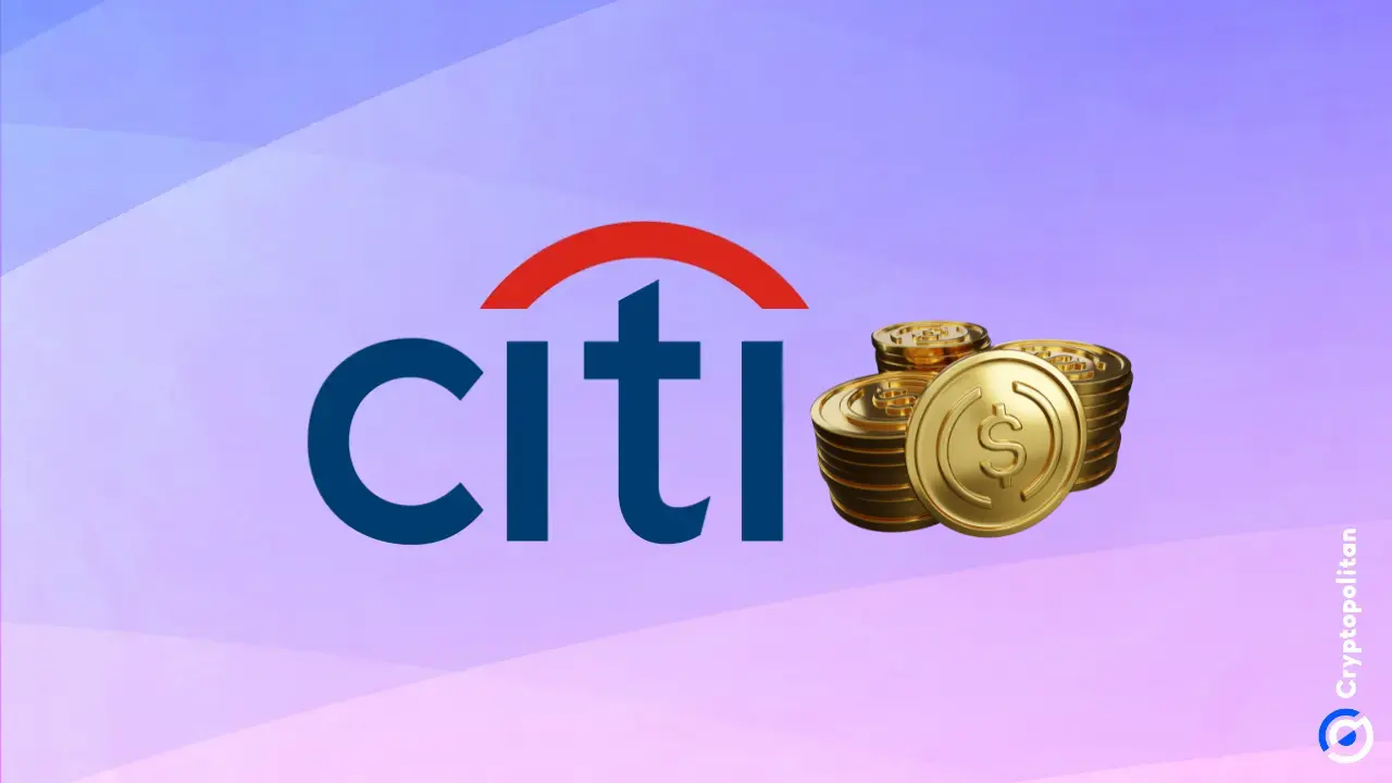 Andy Sieg, chefe da Citi Wealth, afirma que o mercado ainda tem espaço para crescer, mesmo com a queda das principais ações de tecnologia.