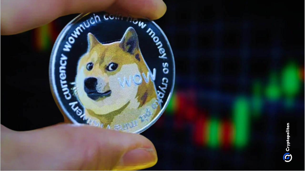 Dogecoin cae a nuevos mínimos a pesar de la creciente actividad de la red y la creciente especulación en torno a nuevos ETF al contado de DOGE.