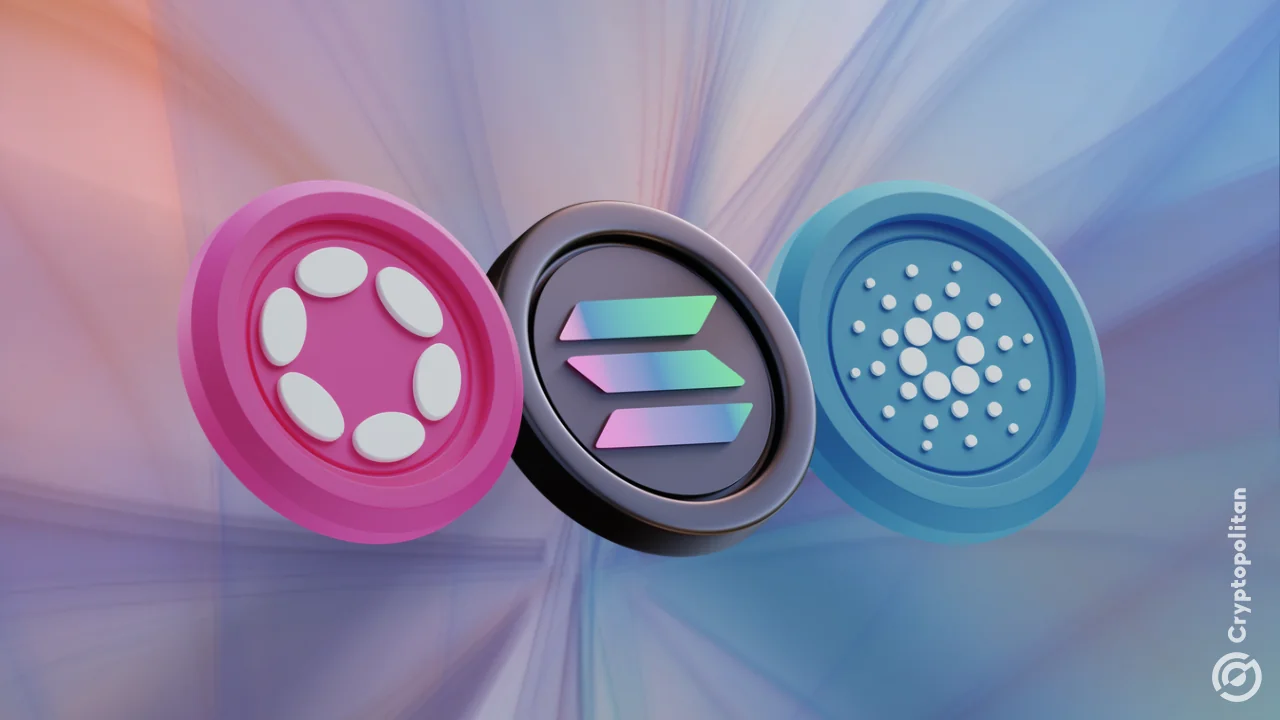 从可扩展性、去中心化、生态系统和实际应用等方面比较 Cardano、 Solana和 Polkadot。