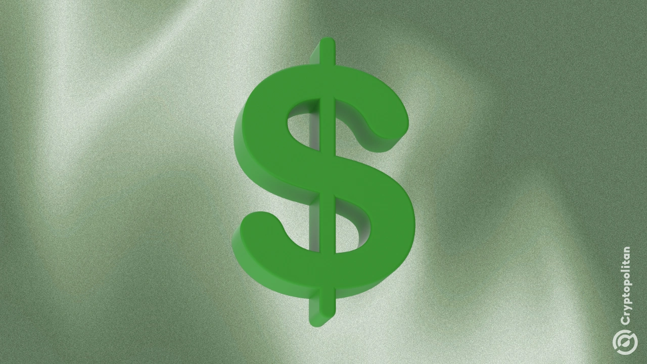 Os tokens STABLE despencaram após o evento de geração de tokens, caindo para uma mínima histórica de US$ 0,015, uma queda de mais de 70% em relação ao preço de venda dos tokens.