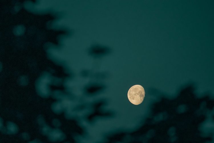 A new public company with a big Bitcoin stash is pitching a bold claim. Twenty One Capital, which listed on the New York Stock Exchange on December 9, arrived with close to $4 billion Bitcoin treasury and now holds the third-largest BTC reserve among public firms. According to the firm’s CEO, Jack M...