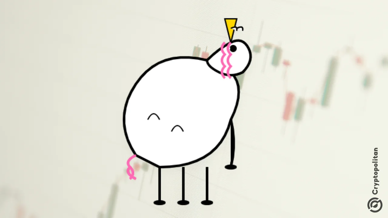 PIPPIN alcanzó un precio récord de $0,52, lo que provocó liquidaciones de posiciones cortas por más de $3 millones. Los operadores abrieron un número récord de posiciones cortas, representando más del 65% del interés abierto.