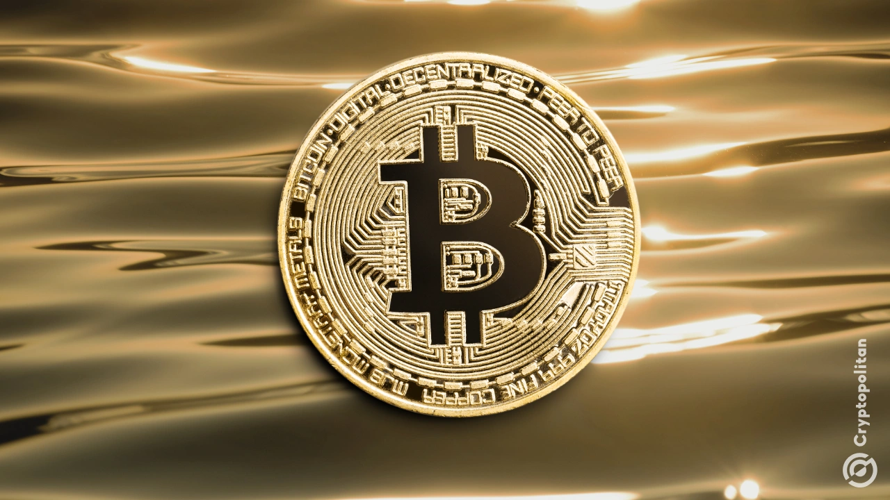 比特币得到矿工、巨鲸和小型持有钱包的支持，而机构投资者则在抛售其持有的比特币。