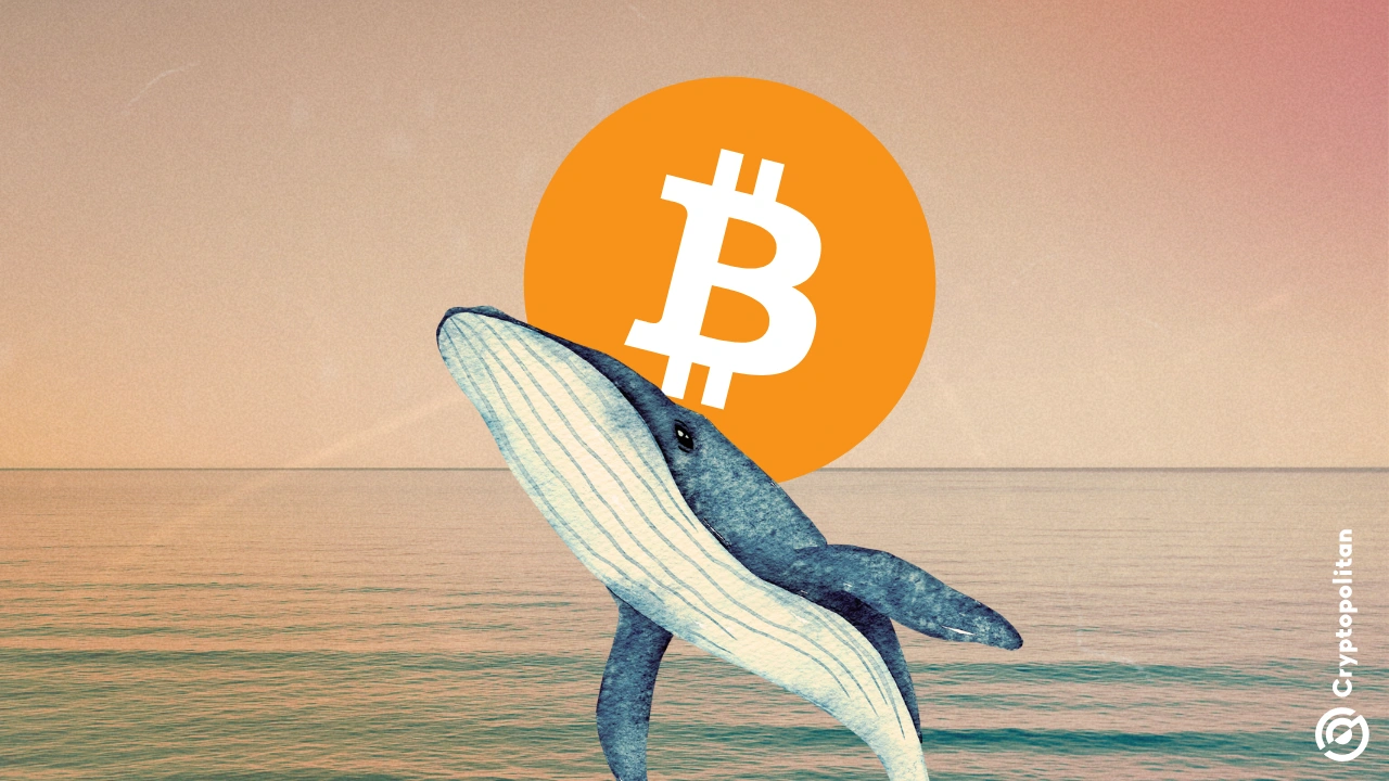 Un minero Bitcoin transfirió 2000 BTC (con un valor de casi 200 millones de dólares) que tenía desde 2010 a Coinbase, convirtiéndose en la última incorporación a la nueva tendencia en la industria de las criptomonedas: los primeros poseedores de BTC venden o transfieren sus fondos tras años de inactividad. Los analistas on-chain han observado que más ballenas venden sus tenencias en […]