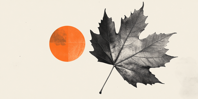 加拿大元（CAD）在盤中小幅走強，反映出對美元（USD）的廣泛壓力，加拿大豐業銀行（Scotiabank）首席外匯策略師肖恩-奧斯本（Shaun Osborne）和埃里克-西奧雷特（Eric Theoret）報告稱