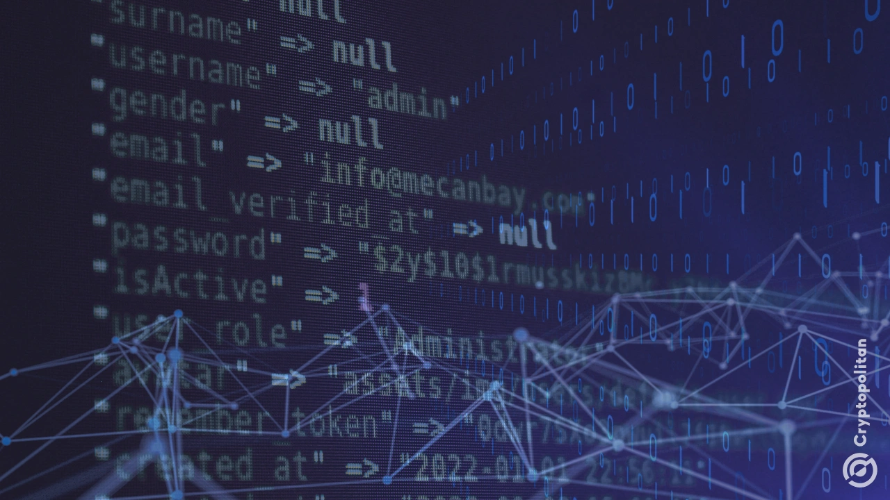 Vibe コーディング アプリは、 Solana と Base でリリースされ、暗号通貨業界の新たな話題になりつつあります。.