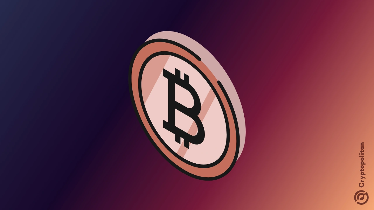 Bitcoin sofreu uma queda acentuada no sábado, despencando cerca de 7% e chegando perto da marca de US$ 77.000. A queda repentina eliminou mais de US$ 2 bilhões.