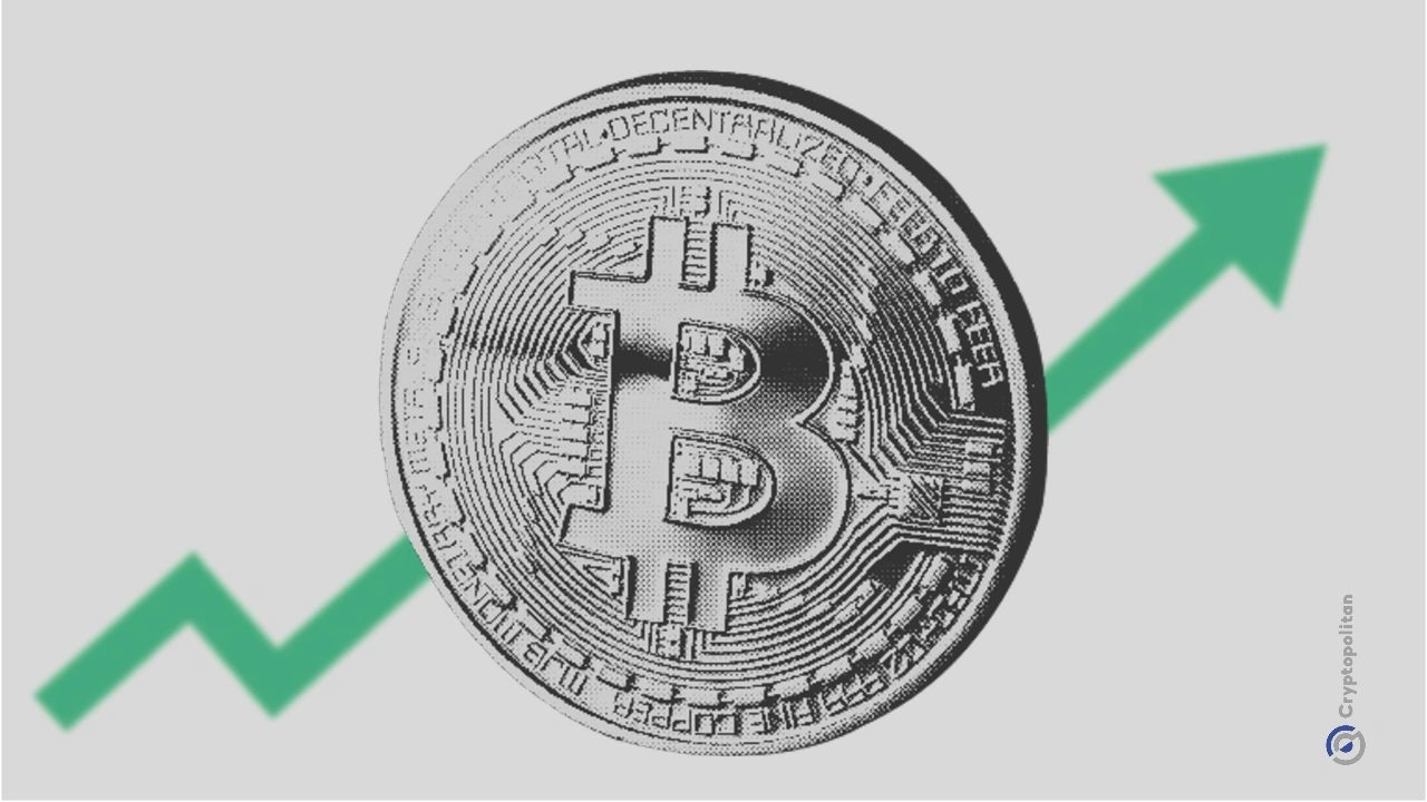 El interés de búsqueda de Google en Bitcoin alcanza un máximo de 12 meses a medida que las oscilaciones de precios de $ 81,500 a $ 60,000 provocan una renovada atención minorista.